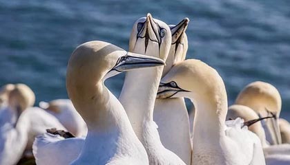 水平如何？巴萨晒亚马尔投篮视频，连续命中两球