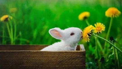 徐远征分享片段：接触各种类型的高水平球员，才会给你最好的提升